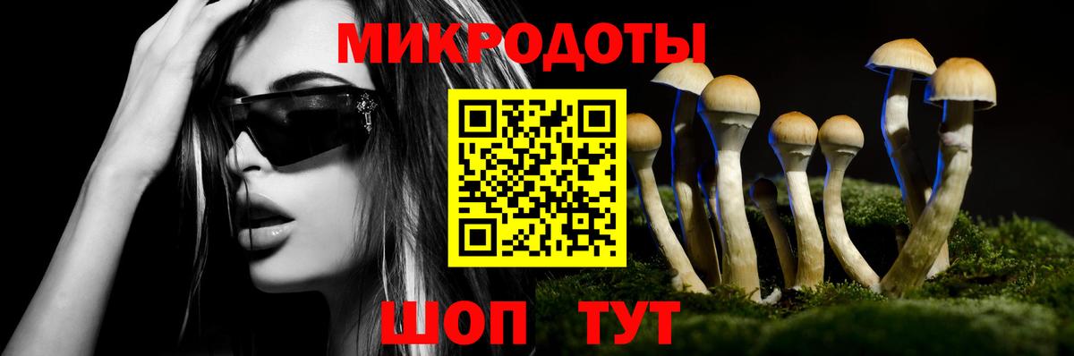 Сочи  Галлюциногенные грибы мухоморы  Вход с VPN 