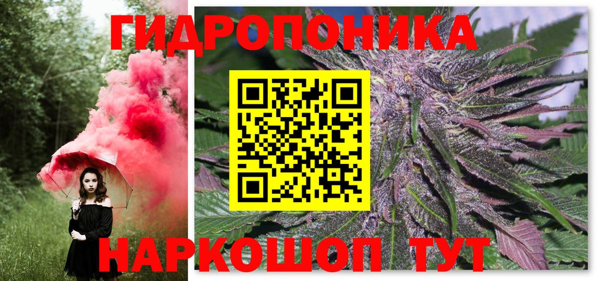 Каннабис индика  МАРИХУАНА OG Kush  Канабис марихуана  Сочи  Вход с VPN 